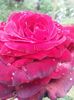 20150620_111048