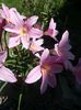 20150623_142245