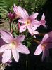 20150623_142250