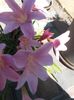 20150623_142330