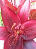 20150626_133755