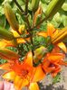 20150626_133811