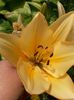 20150626_133821