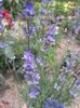 20150626_133906