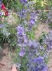 20150626_133909