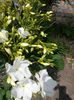 20150626_134235