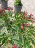 20150626_134239