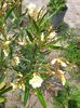 20150626_134243