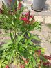 20150626_134248