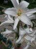 20150626_134311