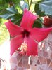 20150627_101508