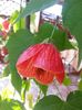 20150627_101527