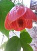 20150627_101600