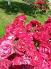 20150630_131537