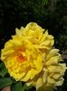 20150630_131628