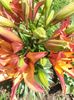 20150701_113434