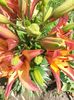20150701_113436