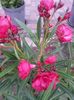 20150703_200450