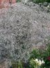 20150703_200458