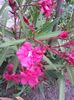 20150703_200508