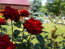 DSCN0235