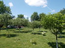 DSCN0259