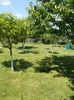 DSCN0260