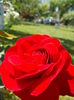 DSCN0268