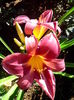 IMG_20150706_180822