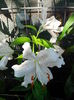 IMG_20150706_180932
