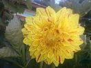 CAM00481