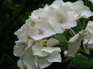 DSCN1685