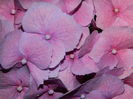 DSCN1692