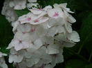 DSCN1738