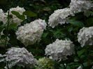 DSCN1882