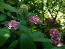 DSCN2050