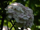 DSCN2052