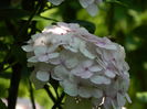 DSCN2053