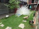 DSC02727