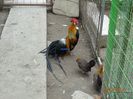 DSC02177