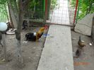 DSC02180