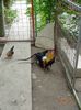DSC02185