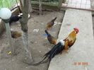 DSC02186