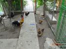 DSC02194