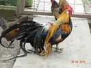 DSC02213