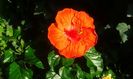 IMG-20150708-WA0008