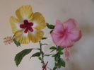 Silvya Goodman si Dainty pink