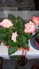 20150708_140303[1]