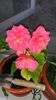 20150708_140310[1]