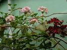 DSCN1840
